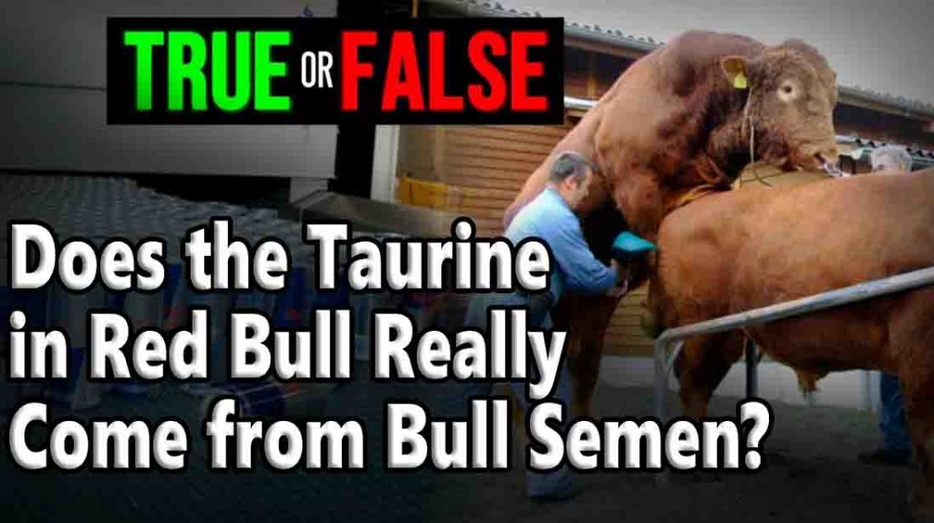 Does the Taurine in Red Bull Really Come from Bull Semen?