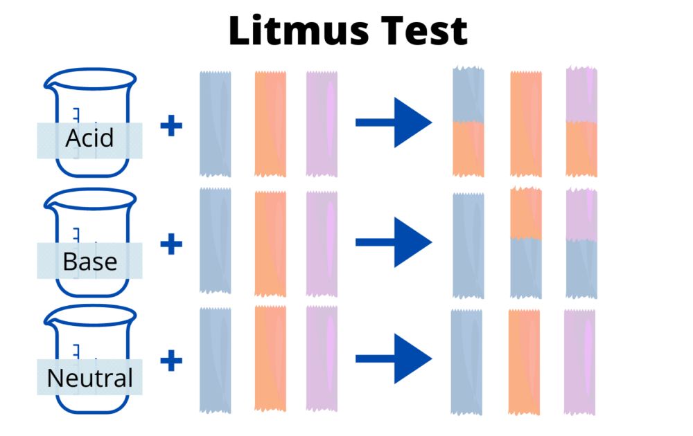 Litmus Paper and the Litmus Test
