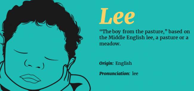 LEE - Surname Meaning and Family History