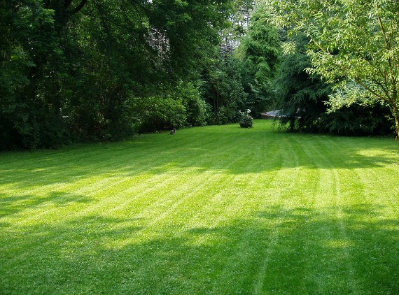 Tax On Lawn Care